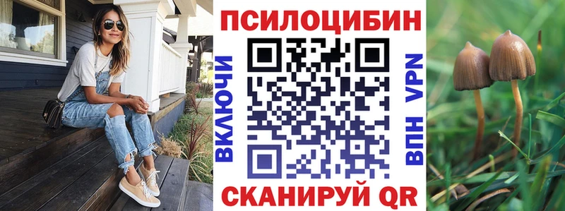 купить наркотик Мариинский Посад Галлюциногенные грибы Cubensis